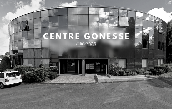 Centre Gonesse