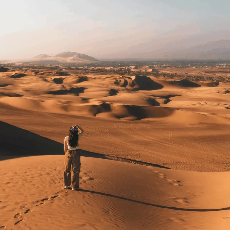 Rallye roses des sables