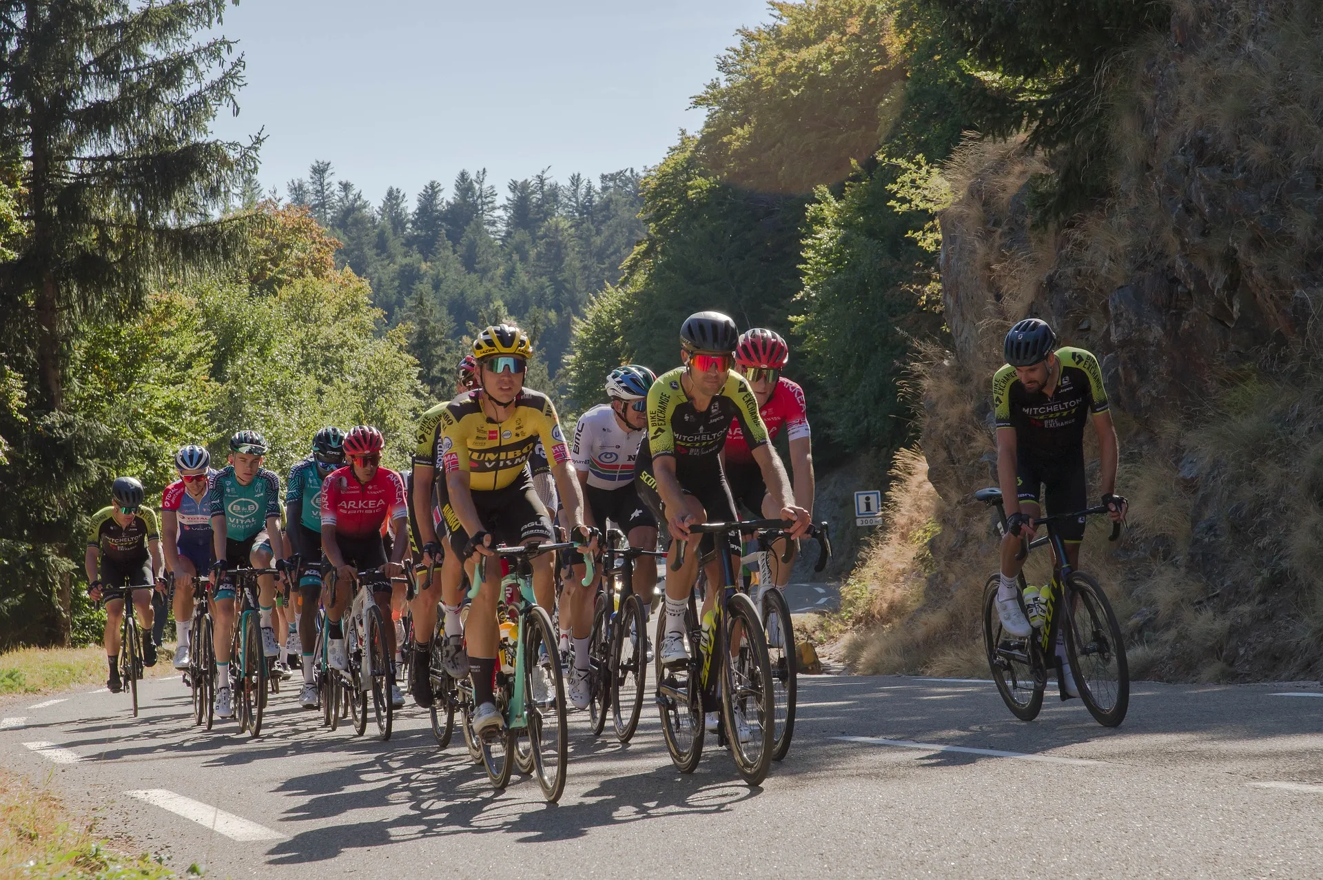 Tour de France 2026 : les bons réflexes pour profiter du spectacle en toute sécurité